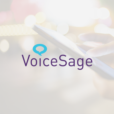 VoiceSage Investment Summary